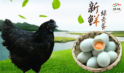 重生之吸血鬼觉醒 一枚蛋的非凡时刻